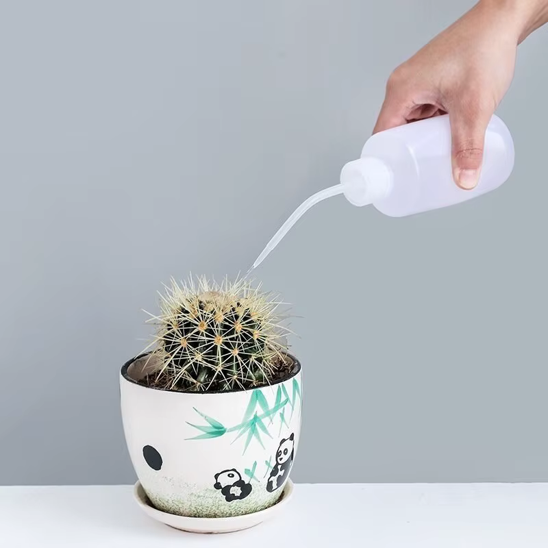 Arrosoir bonsaï pour plantes succulentes, 250/ 500ml, outil de jardinage à bec long