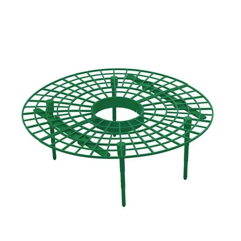 Supports de fraises pour conserver les plantes et les fruits, support de culture de légumes, outils
