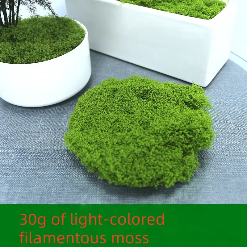 30/50/100g plantes vertes artificielles mousse herbe maison salon jardin décoration Mini paysage fau
