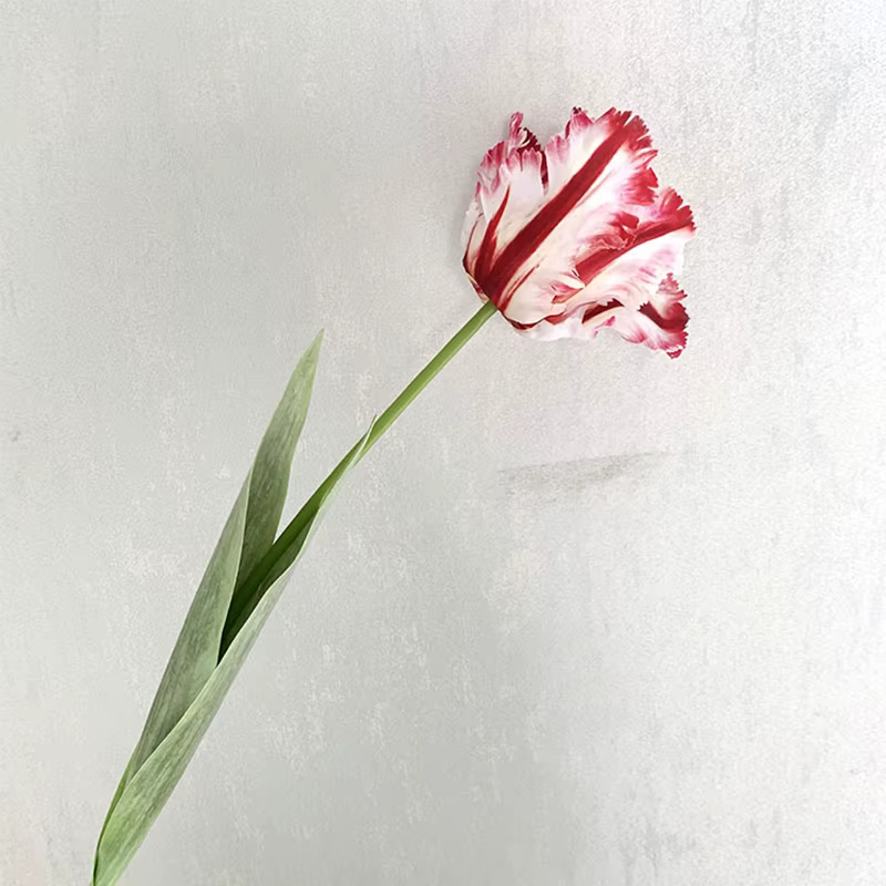 Branche de tulipe perroquet 3D de luxe, 1 pièce, fleurs artificielles au toucher réel pour mariage, 