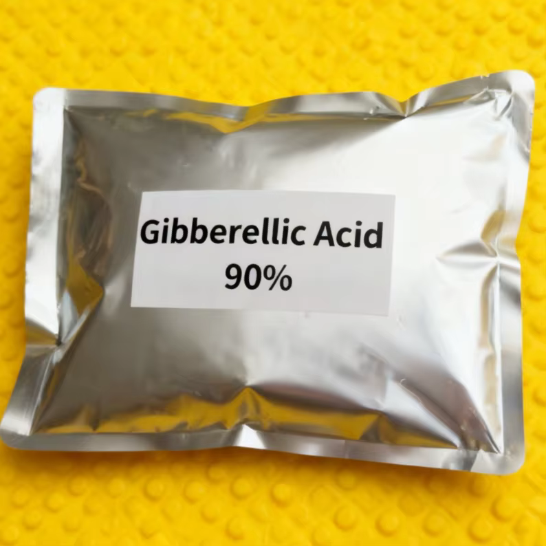 Chaud PGR Super plante grandir engrais Gibberellic Gibberellin acide GA3 90% à vendre