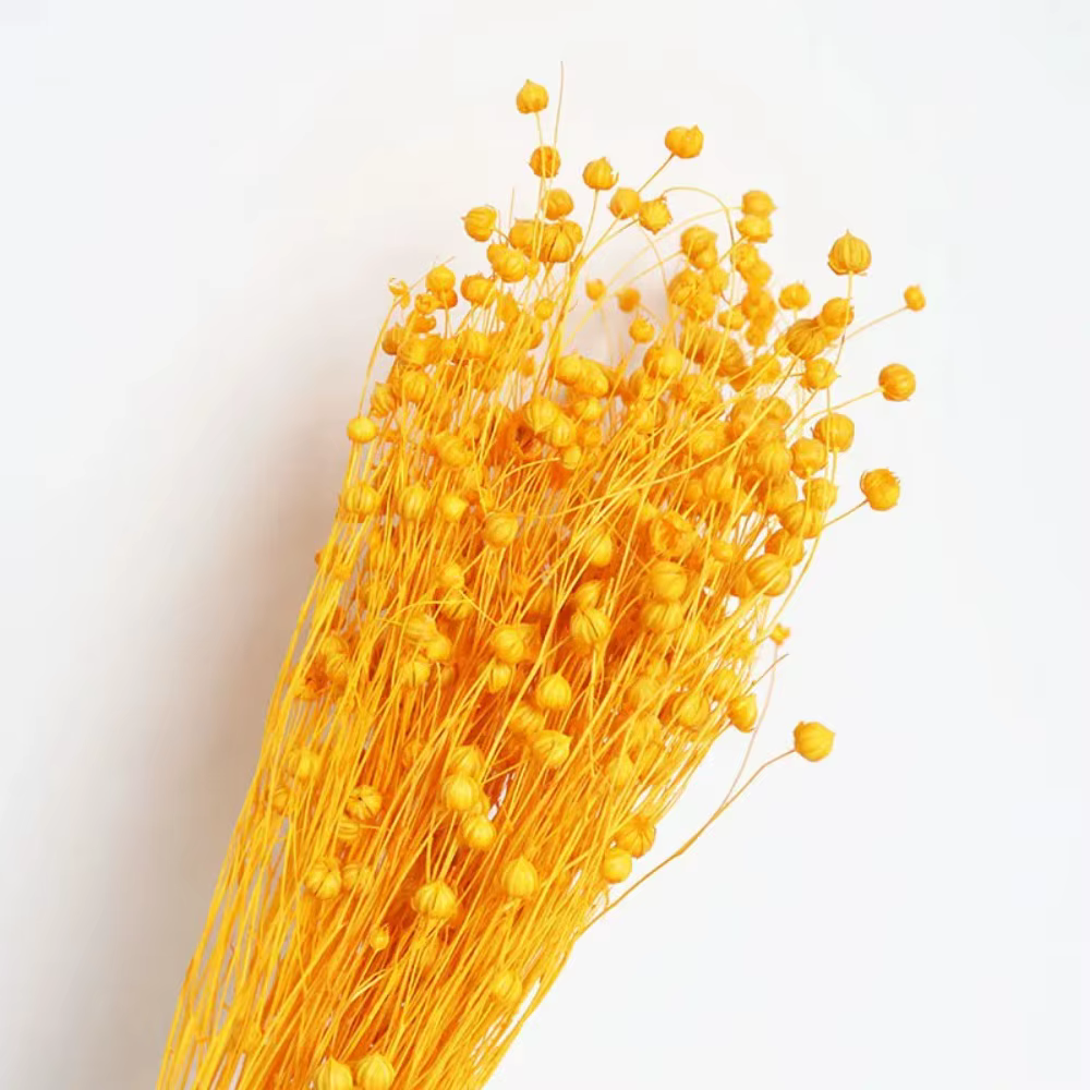 Fleurs séchées naturelles, Bouquets d'herbe en lin, vraies plantes conservées pour la décoration de 