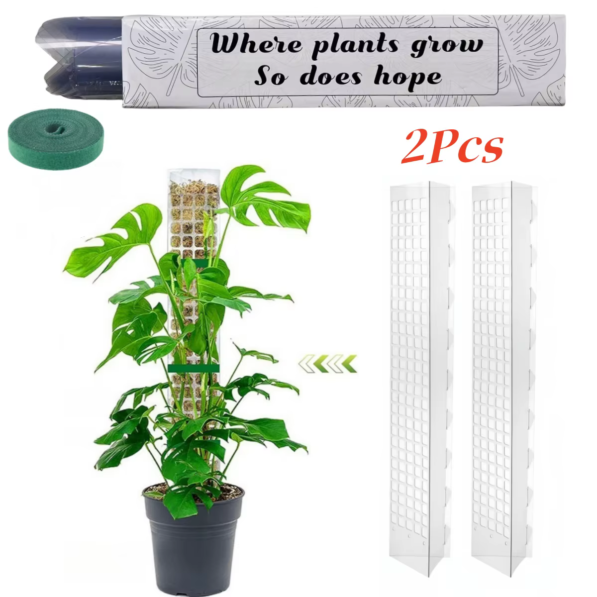 Support de Plantes en Plastique pour Plantes Grimpantes d'Intérieur, Tutoriels de Croissance, Bâton 