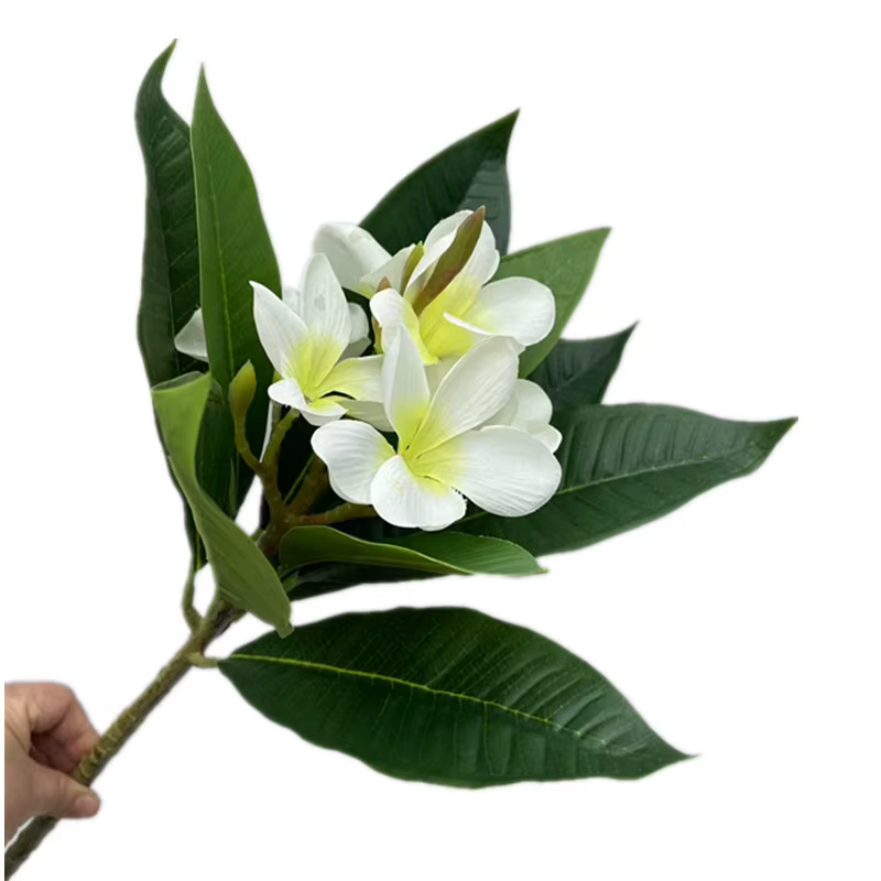 One Plumeria Rubra artificielle avec feuilles vertes au toucher réel, branche de fleur de Frangipani