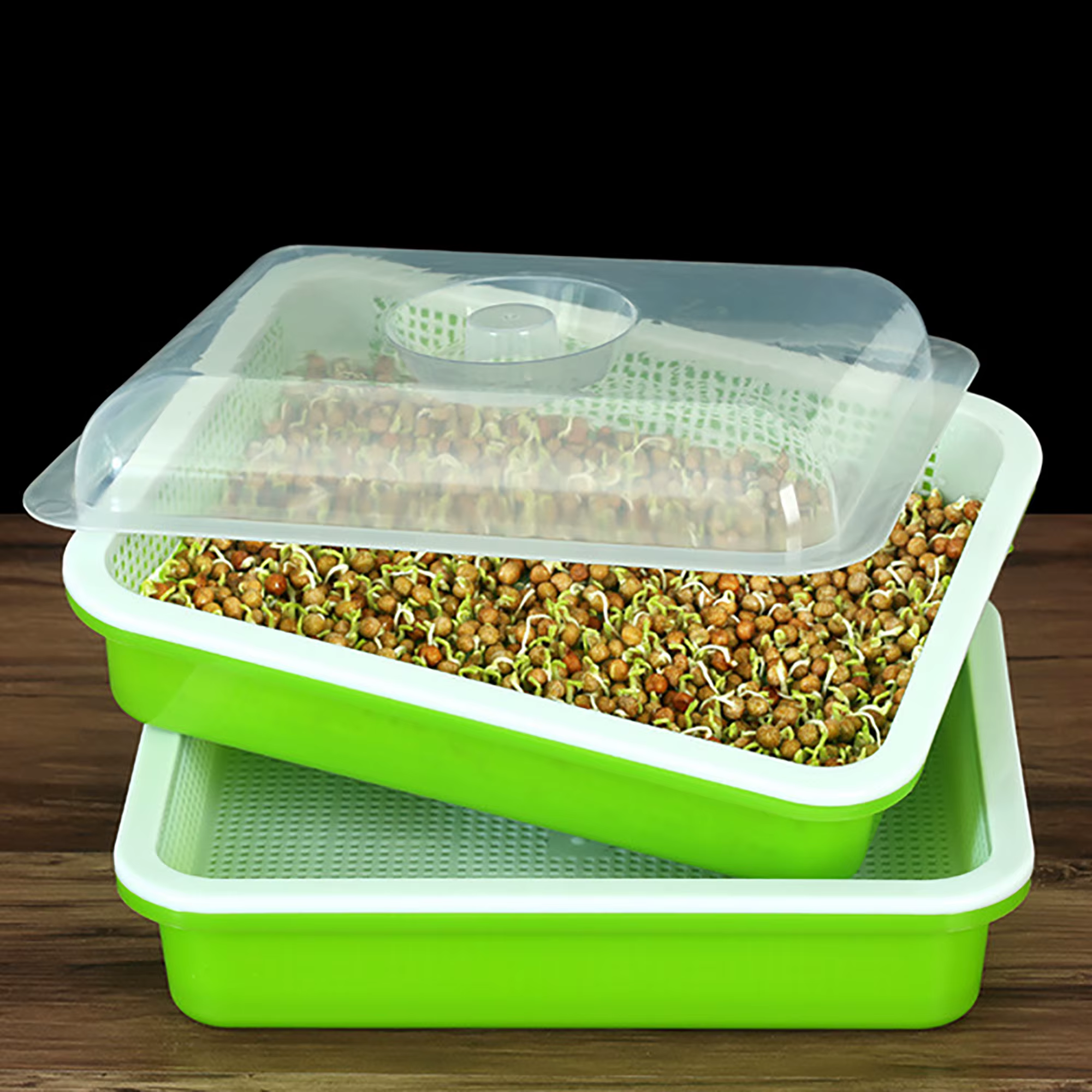Plateau de germination de graines Double couche, Culture de haricots sans sol, assiette de pépinière