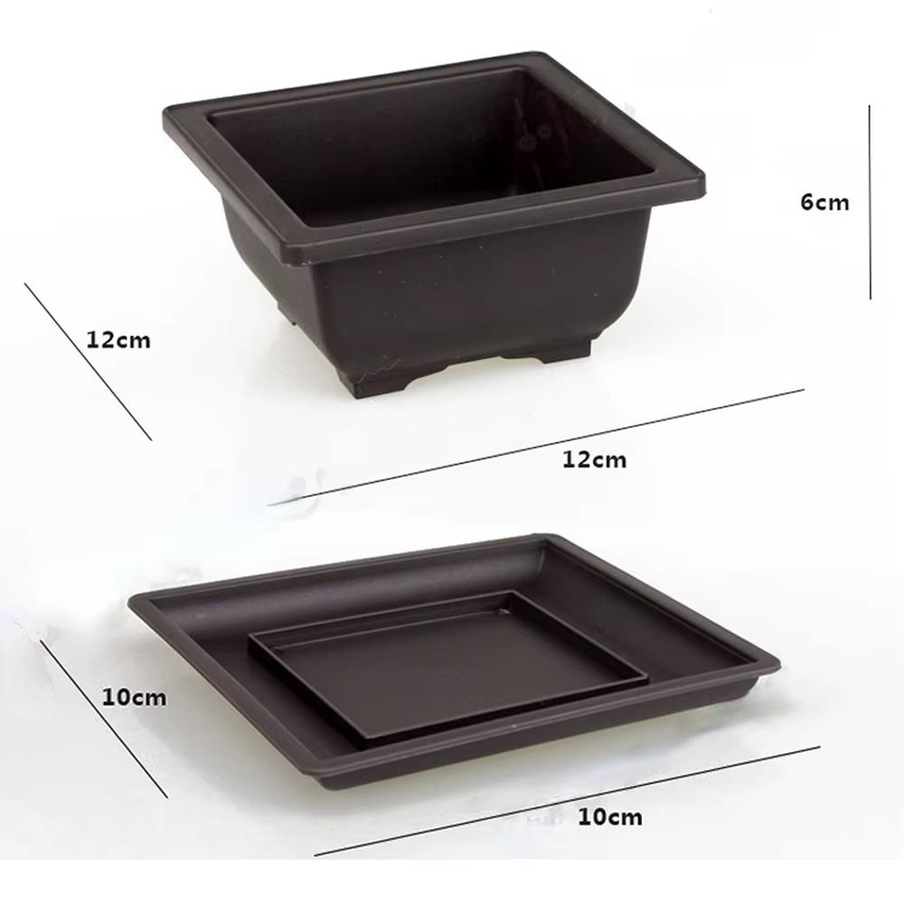 Pots d'entraînement avec escalade Pot de plantes bonsaï en plastique, pots carrés pour fleurs succul