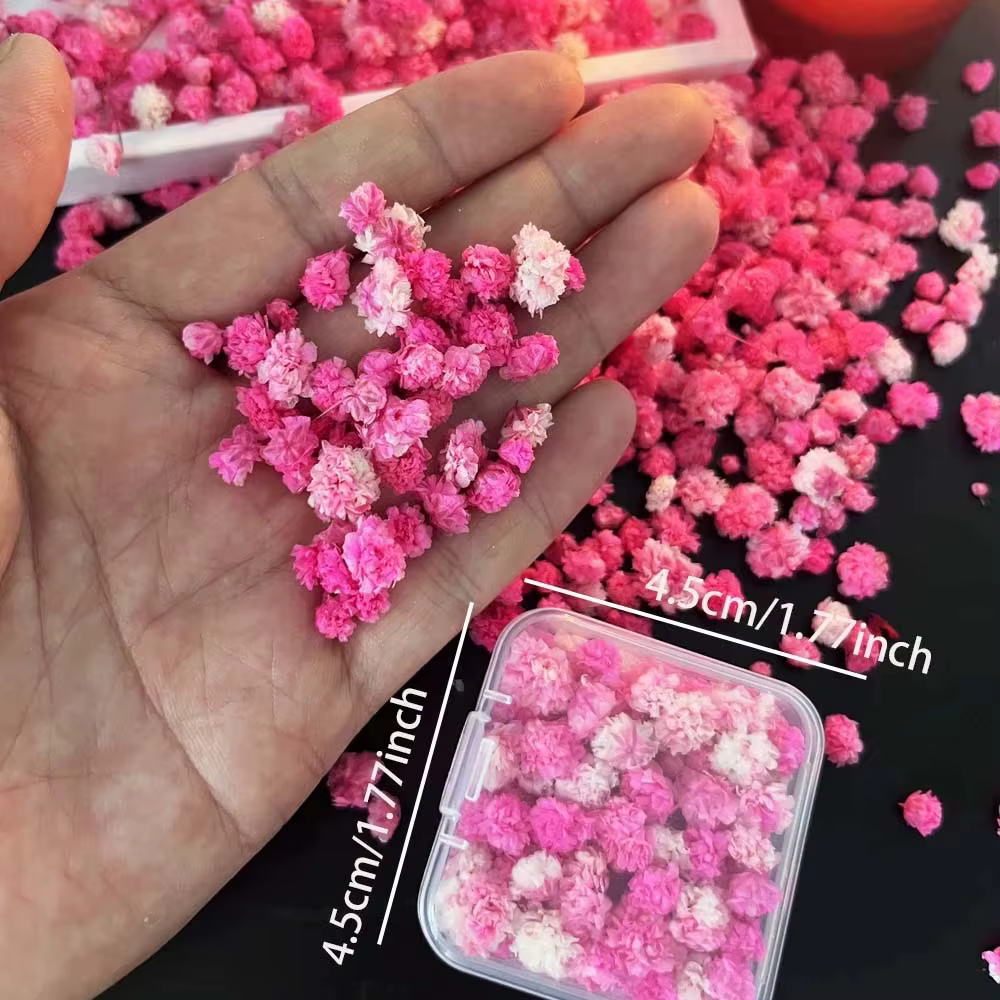 1 boîte de mélange de fleurs pour l'artisanat, fabrication de bougies, fleurs pressées de couleur ro