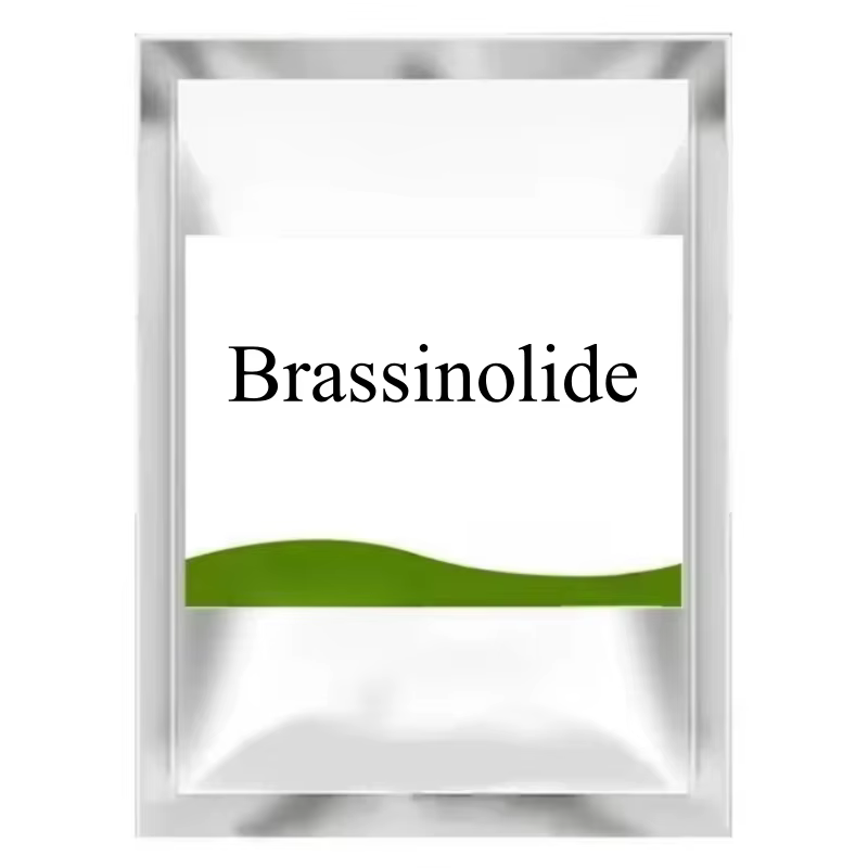 Senwisdom-Hormones végétales de cytokinine, Brassinolide naturel, Améliorer la croissance des légume