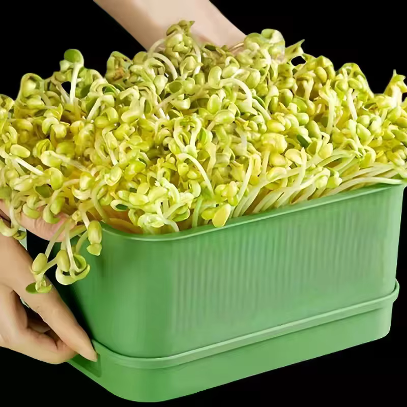 Pots de culture en plastique pour pépinière, plateaux de pépinière sans sol pour légumes, plateau de