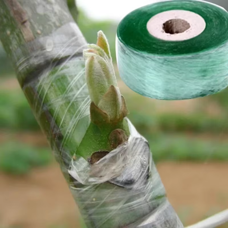 Ruban adhésif pour l'élagage des plantes, 100m x 2cm/rouleau, barrière de bourgeonnement pour greffe