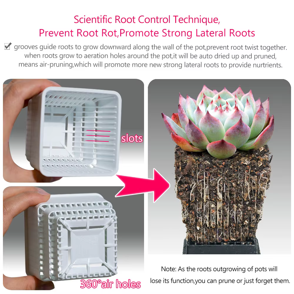 Pot Succulent en maille avec trous, Pot à Lithop pour Cactus, contrôle des racines, jardinière succu
