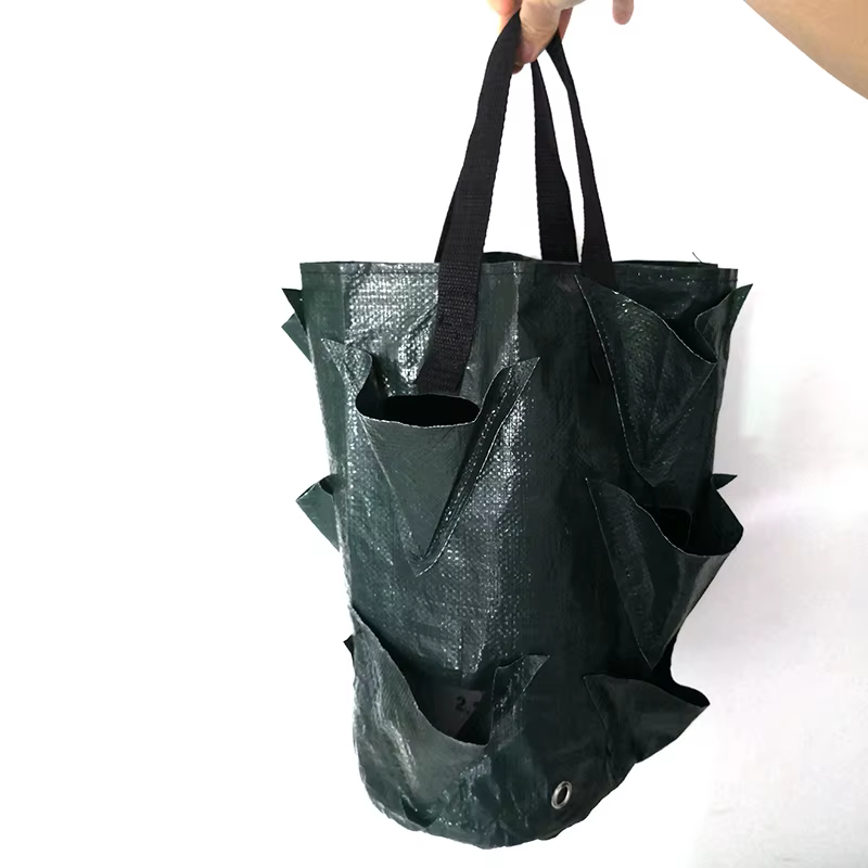 Sac de culture de plantes fraises 3 gallons, conteneur de tomates en plein air, sacs multi-bouche su