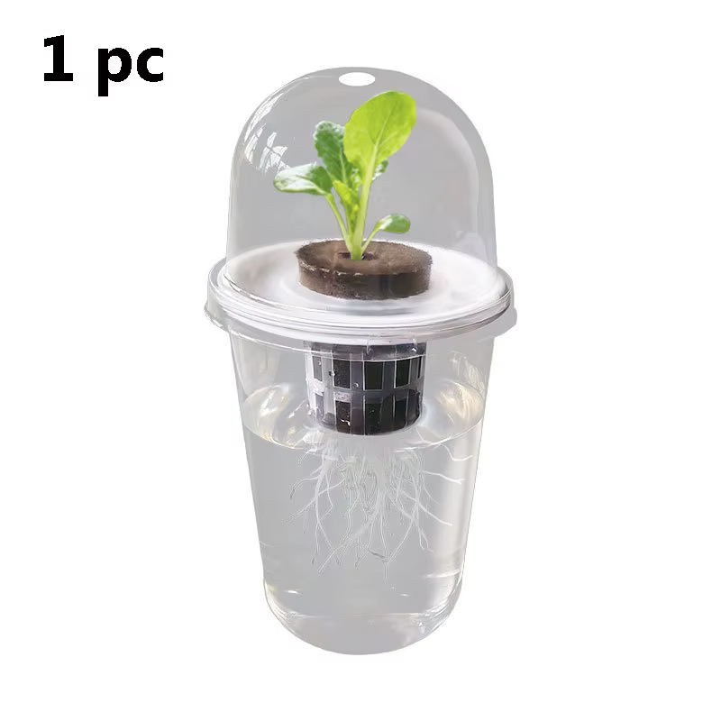 Pot hydroponique cylindrique Transparent en plastique, pour plantes succulentes, pommes de terre dou