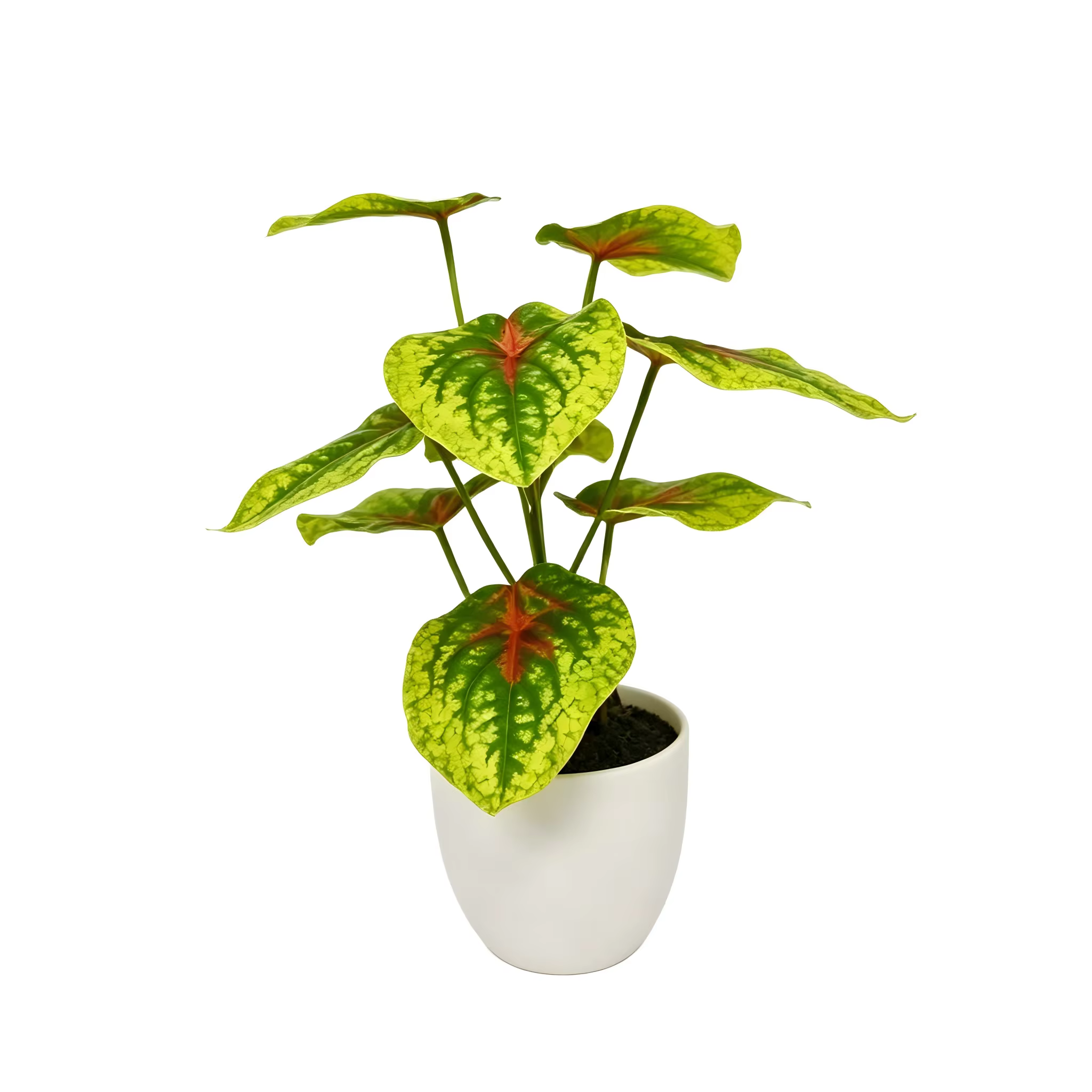 Le cadeau idéal pour les amateurs de plantes : un faux bonsaï de 20 cm, sans entretien, sûr et idéal