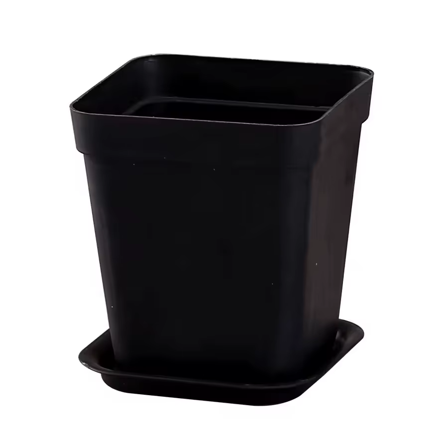 Lot de 6/12/24 pots de fleurs carrés noirs avec plateau, pour bureau, intérieur, extérieur, décorati