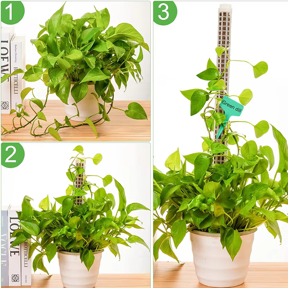 Bâton d'escalade pour plantes, support de plante, cadre en treillis, colonne de mousse de sphaigne d