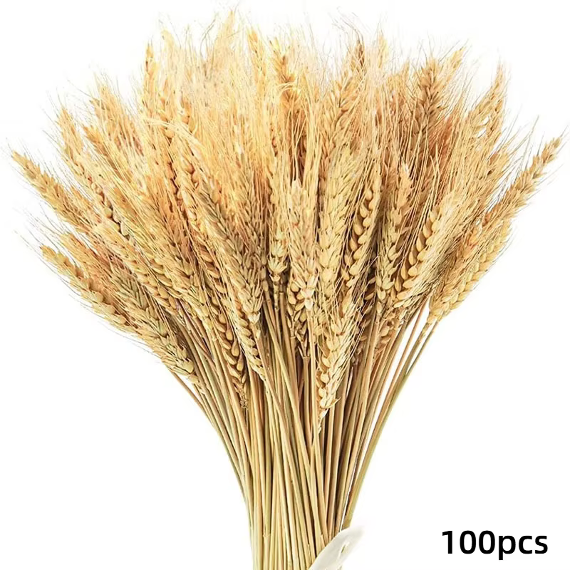 160 Pièces de Fleurs Séchées Naturelles en Épis de Blé pour Décoration Bohème, Décoration de Table,