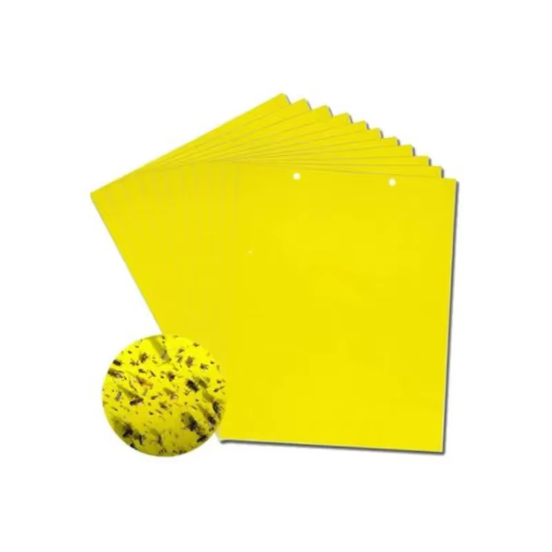 Pièges antiparasitaires collants Double face solides, attrape-insectes pour plantes de jardin, planc