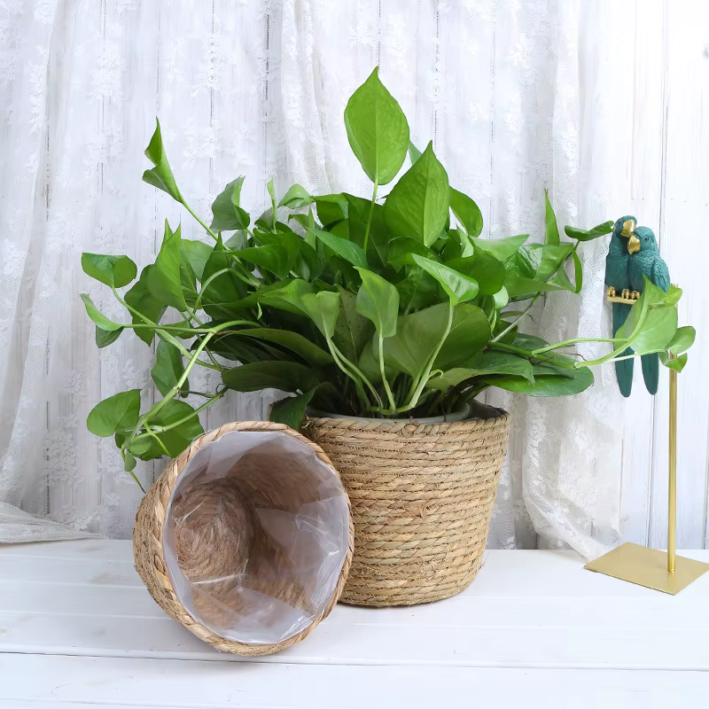Pot de plantes à fleurs tissées en paille, panier de jardinière d'herbe, couverture de Pot de fleurs
