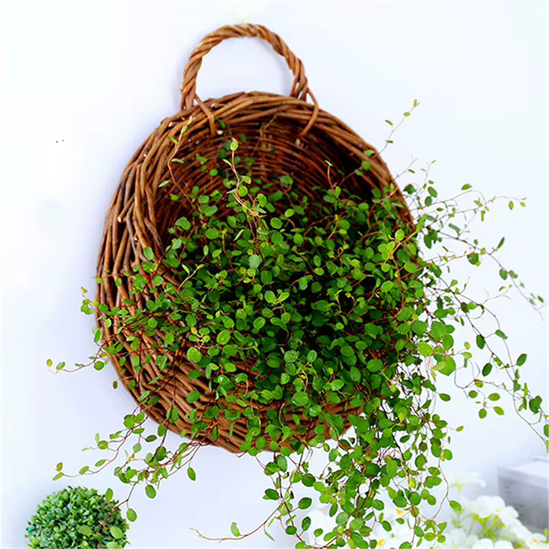 Présentoir mural pour jardinière de fleurs, support pour plantes, panier en rotin, pot de vigne de j