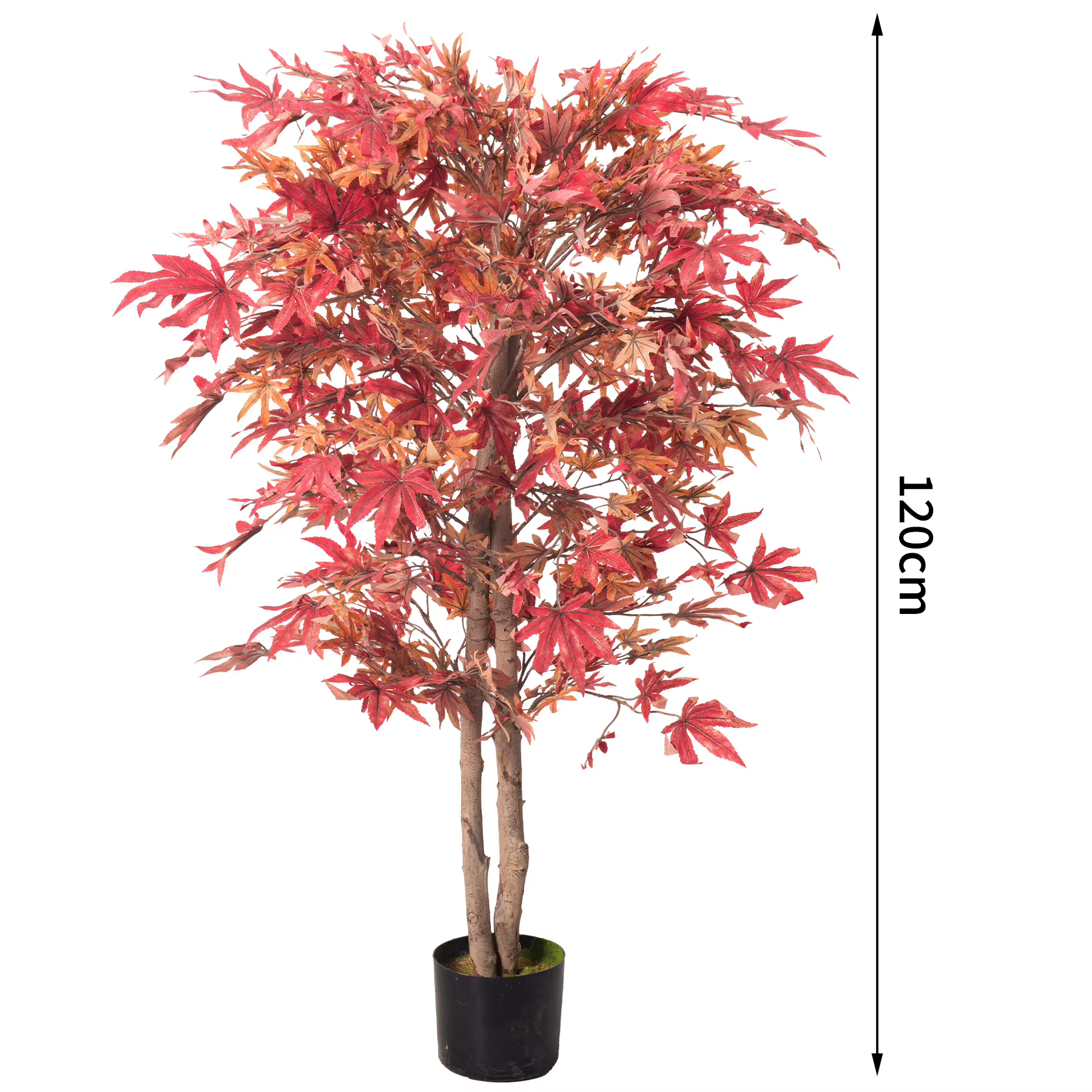 Simulation d'arbre d'érable rouge, plante de bouleau en pot, décoration de paysage intérieure, arbre