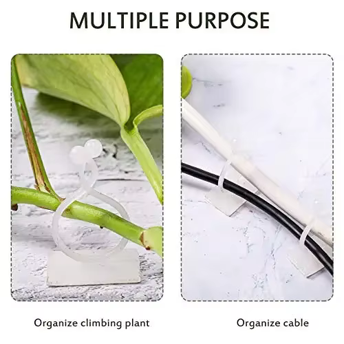 Plante grimpante auto-adhésive mur vignes outils fixation plante fixation murale Clips boucle fixe c