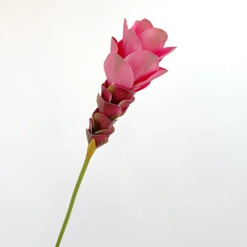 Simulation de fleur de gingembre dégradée, longue branche, fleur artificielle en soie pour bricolage