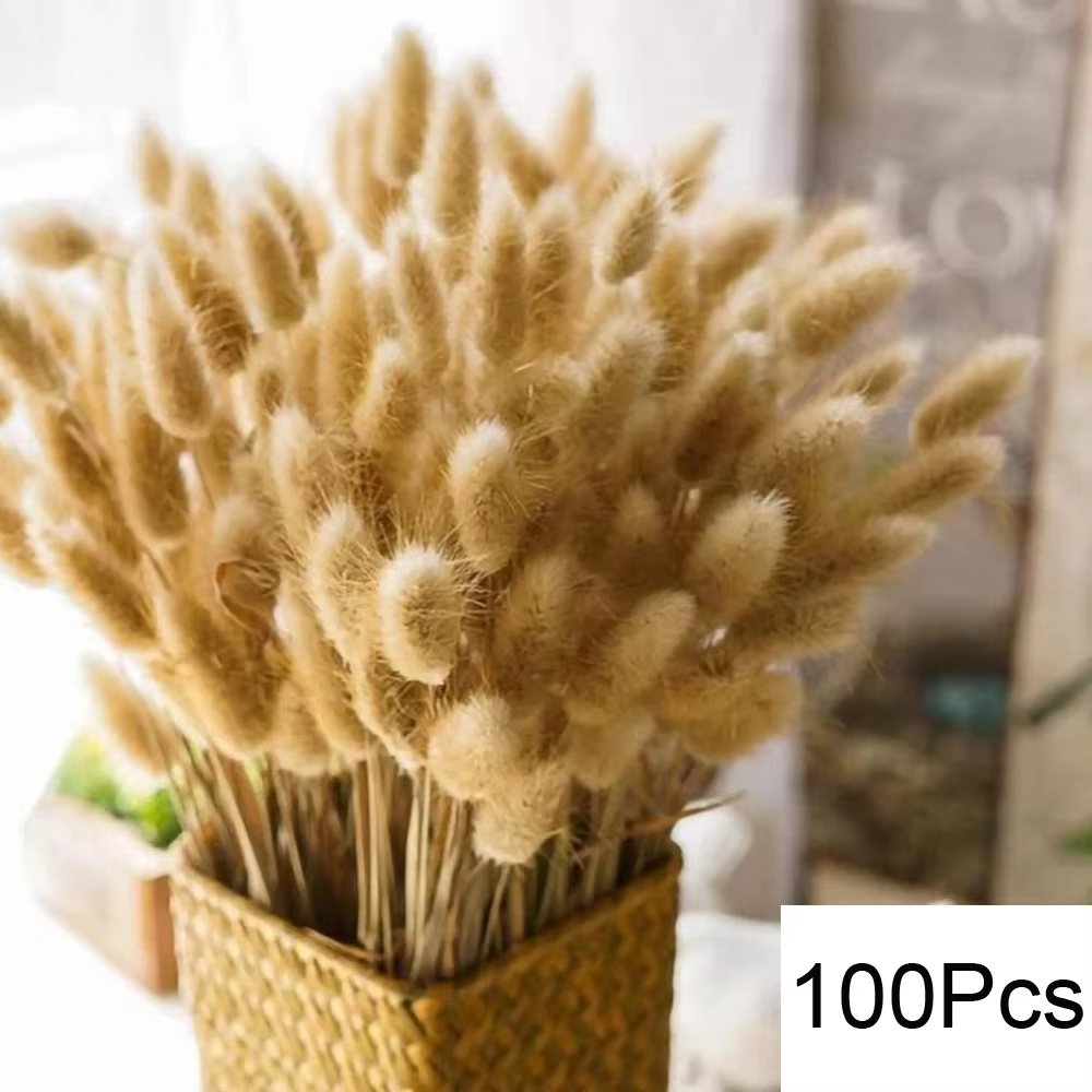 105 pièces fleurs séchées naturelles Pampas Bouquet Floral Boho pays décoration de la maison queue d