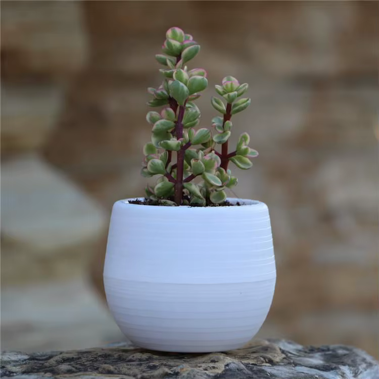 1 pièce, mini pot de fleurs en résine PP, 7*7cm, coloré, pour plantes en pot, décoration de bureau