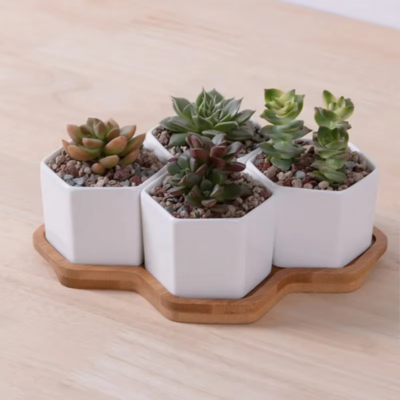 Pot de fleurs hexagonal en céramique blanche avec support en bambou, pots de plantes succulentes, dé