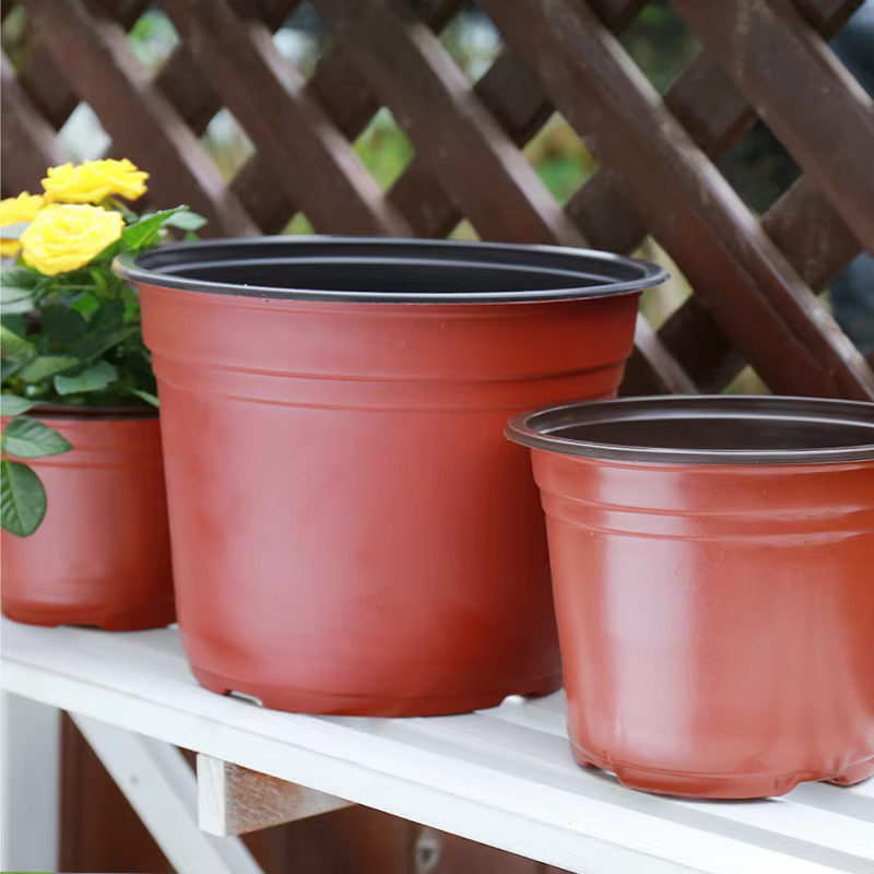 20 pièces/50pcs jardinière pépinière plante poussent Pots tasse pour fleur Pot en plastique outils d