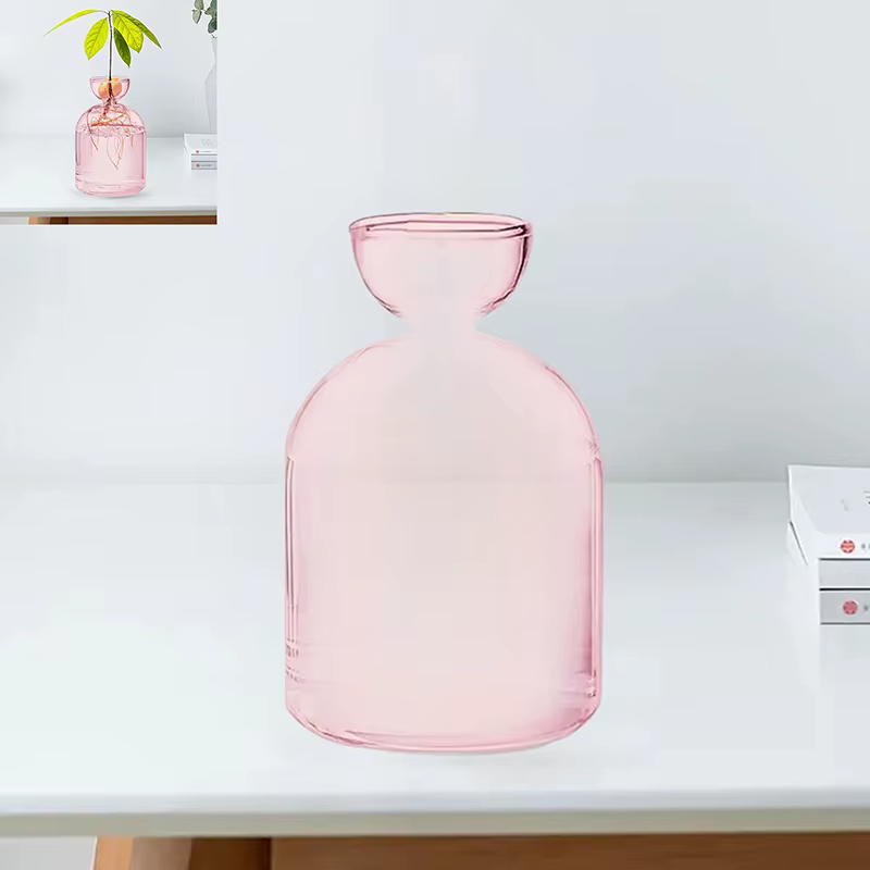 Vase hydroponique Transparent coloré d'avocat, Vase de démarrage de graines d'avocat en verre, Kit d