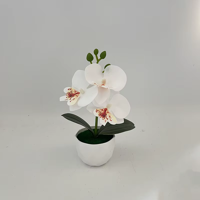 Trois simulés papillon orchidée diamant bonsaï petits ornements hôtel chez l'habitant ensemble de bu