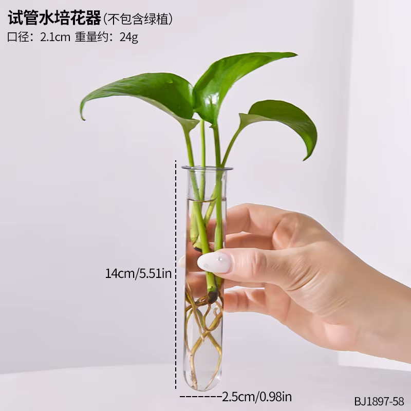 Vase hydroponique pour Tube à essai de plantes, Arrangement de fleurs cultivées dans l'eau, conteneu