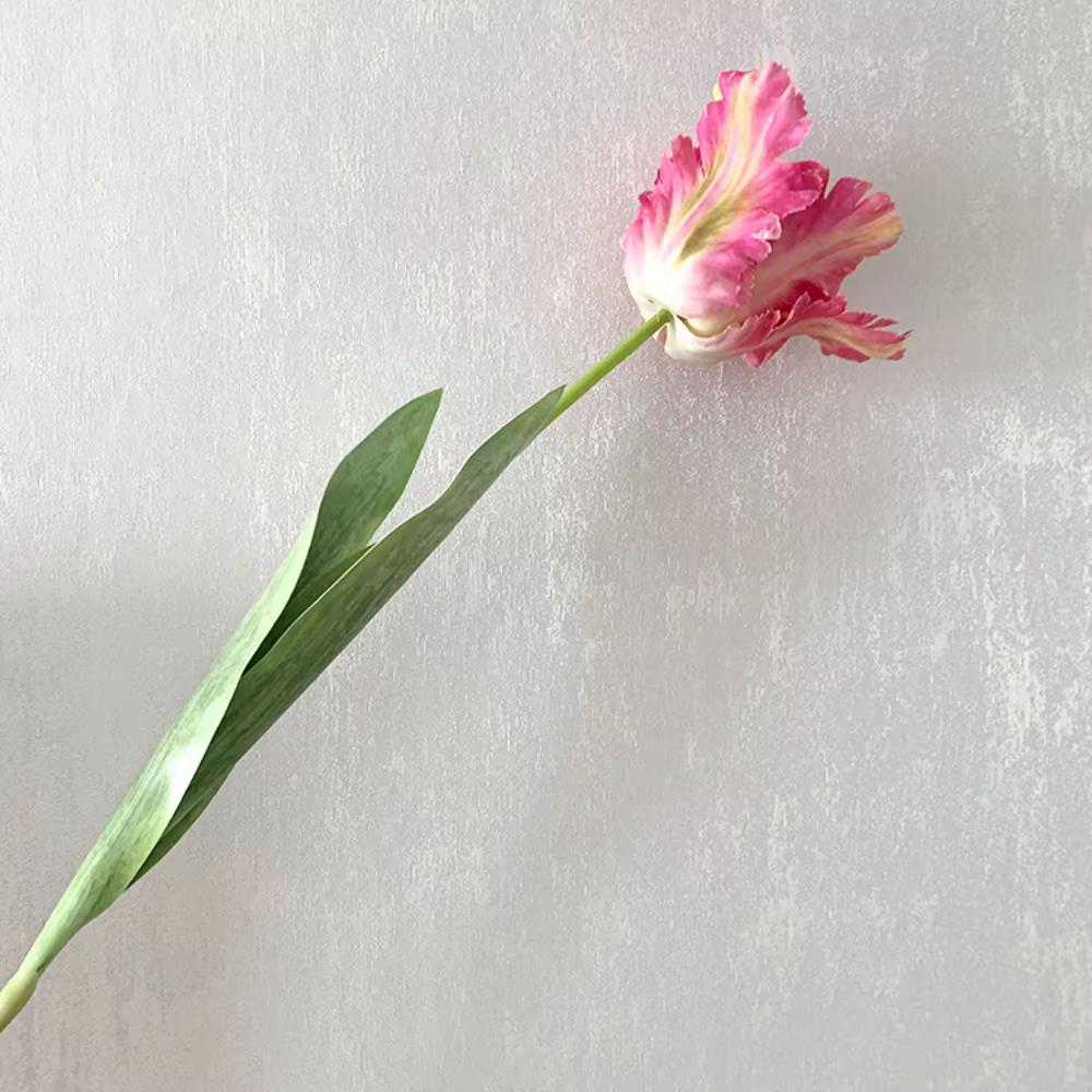 Fleur de tulipe artificielle de haute qualité, fleur réaliste, couleurs dégradées, fausse fleur pour