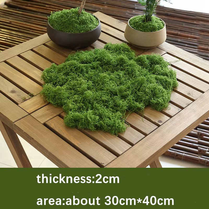 Fausse mousse verte artisanale, bricolage, mousse artificielle, fausse aide, plante verte, maison, c