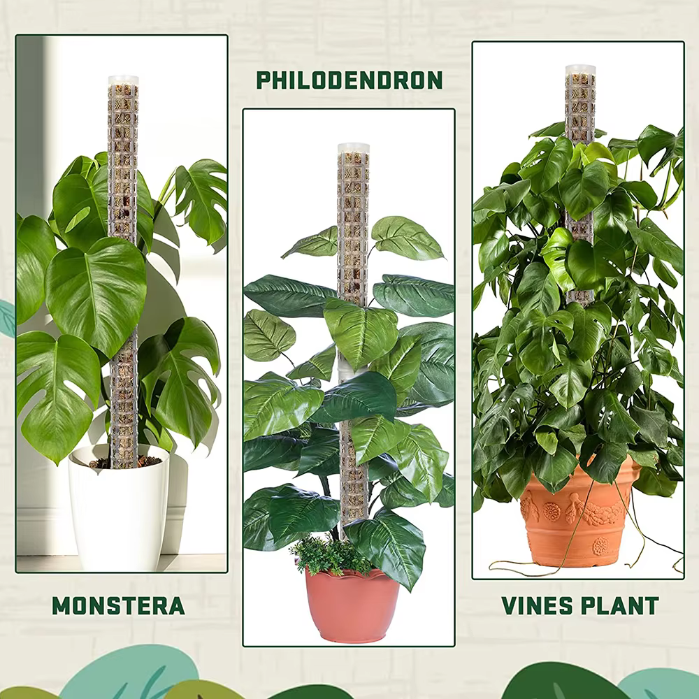 Bâton d'escalade pour plantes, support de plante, cadre en treillis, colonne de mousse de sphaigne d