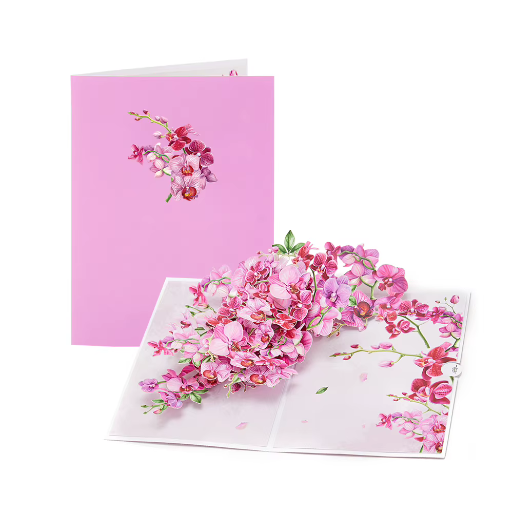 Cartes de vœux en fleurs de Phalaenopsis, carte postale Pop-Up créative, décor de fleurs roses, cade