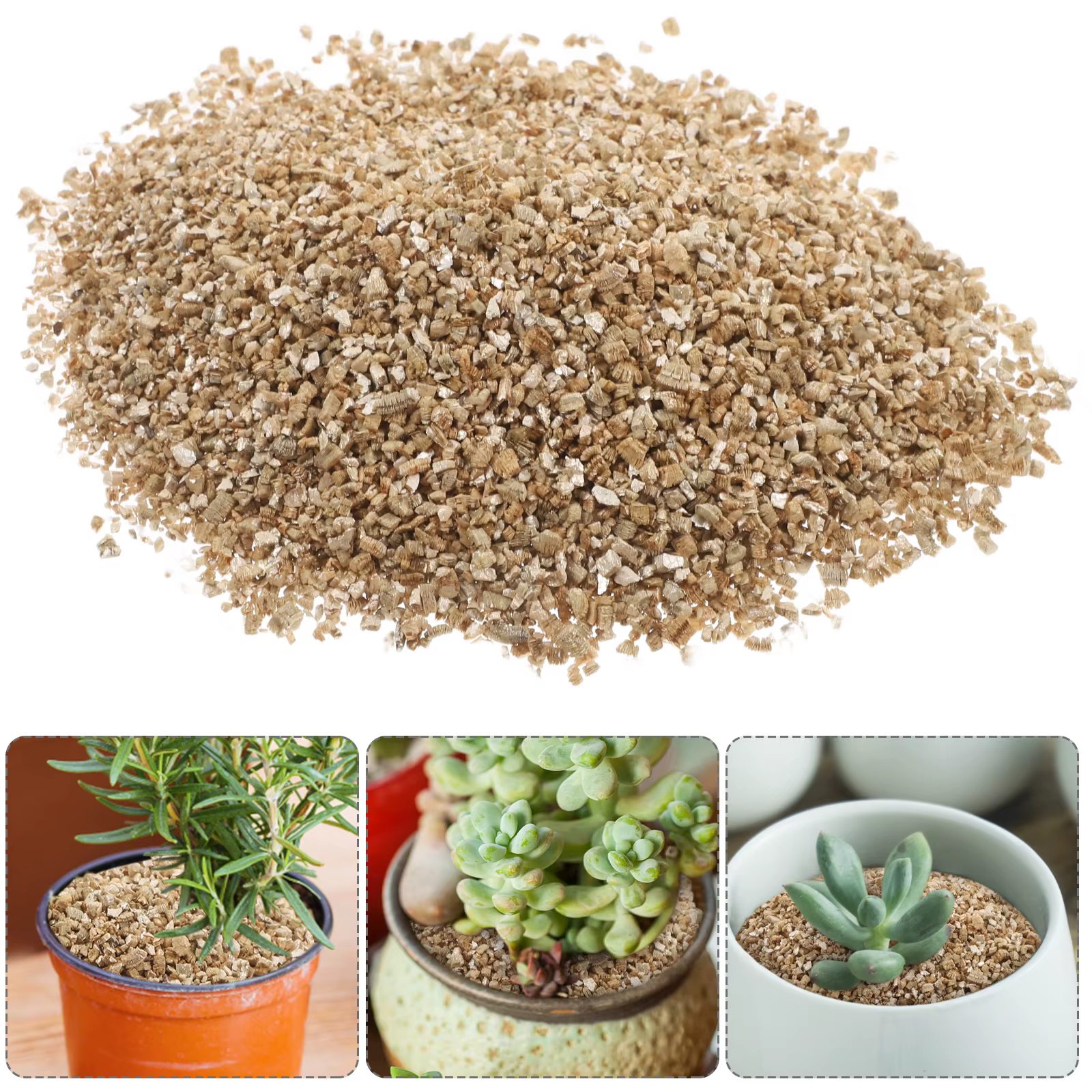 Vermiculite 3L croissance moyenne pour plantes plantes champignons Terrarium animaux jardinage décor