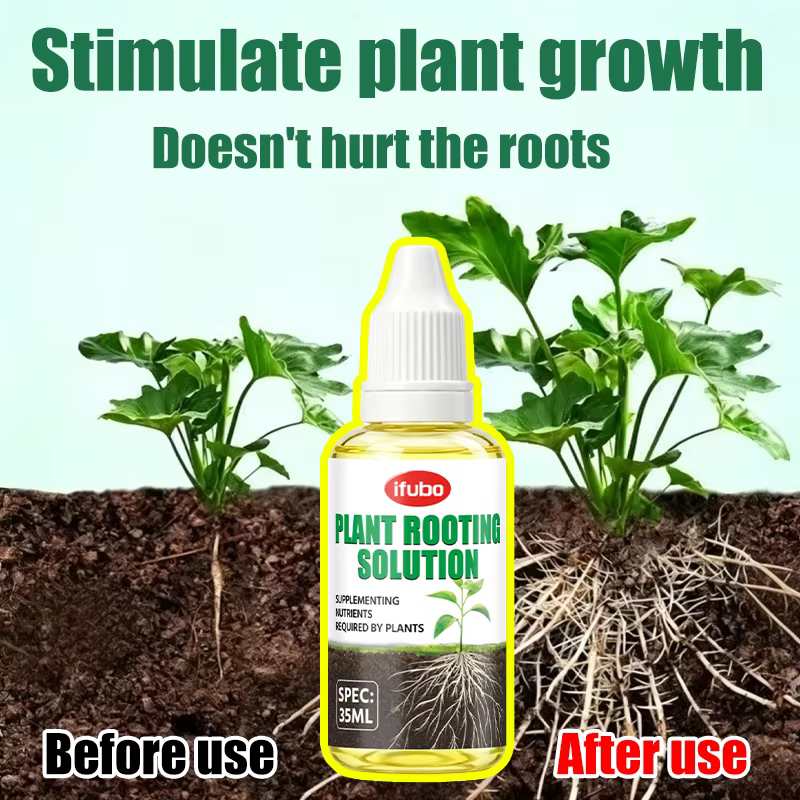 Solution nutritive pour l'enracinement des plantes, 35 ml, stimule une croissance rapide des racines