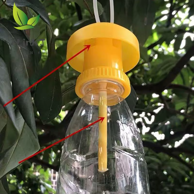 Flypaper-Piège à insectes antiparasitaires pour la maison, la ferme, le verger, les mouches des frui