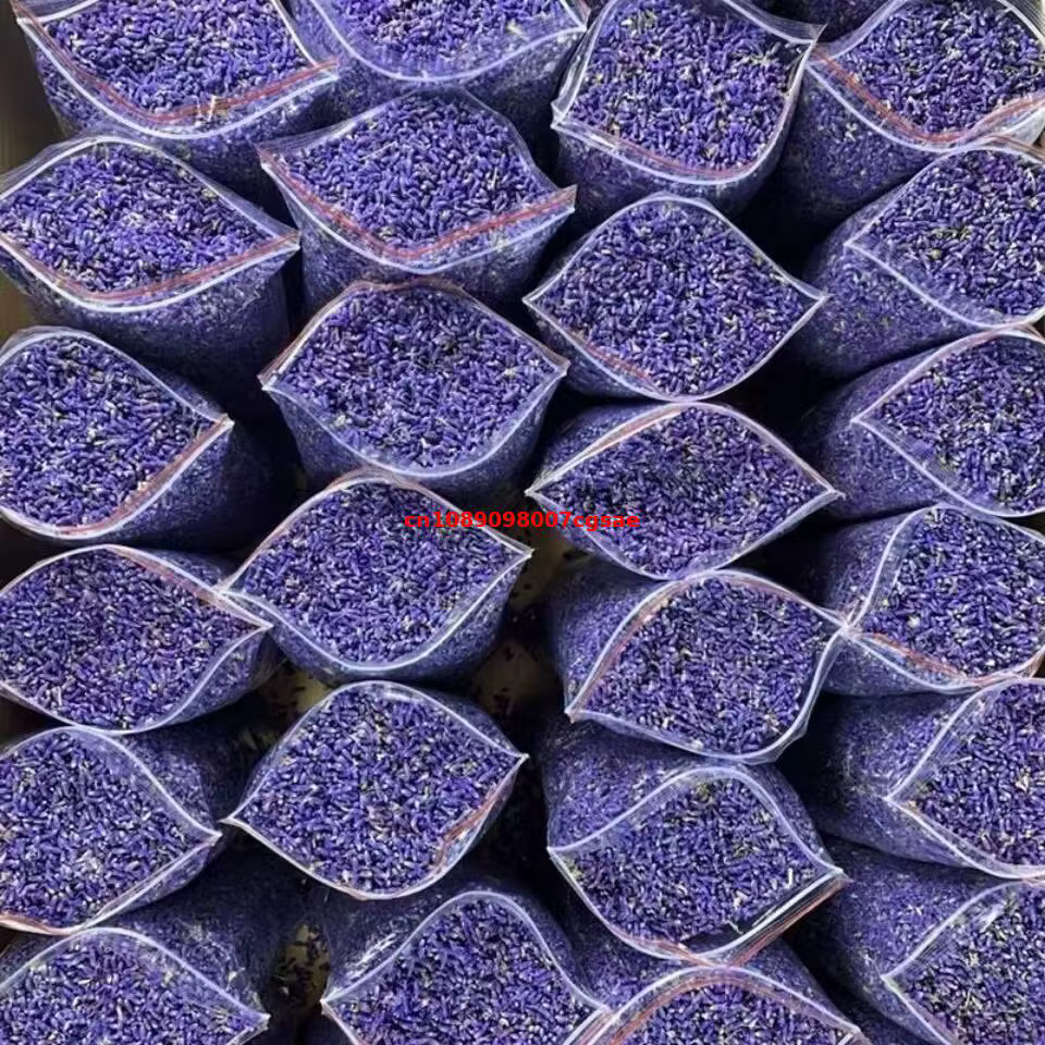 Fleurs séchées de lavande naturelle de haute qualité pour la décoration de la maison, les mariages, 
