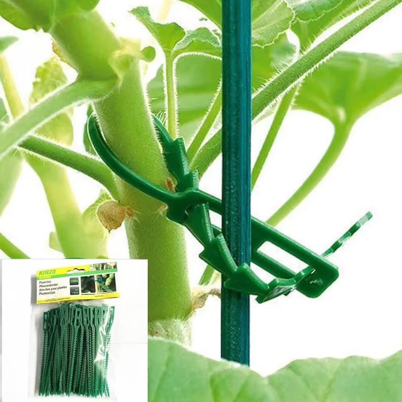Attaches de câble de jardin réutilisables, plantes, vigne, arbustes, Support de fixation, verrouilla