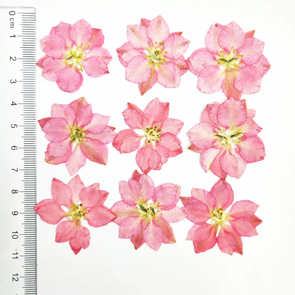 Plantes sèches de fleurs séchées naturelles amusantes, pour bougie d'aromathérapie, remplissage en r