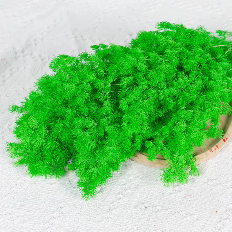 Fleur de penglai éternelle séchée, 100g, enrichie, pour table de mariage, salon, décoration de fête,