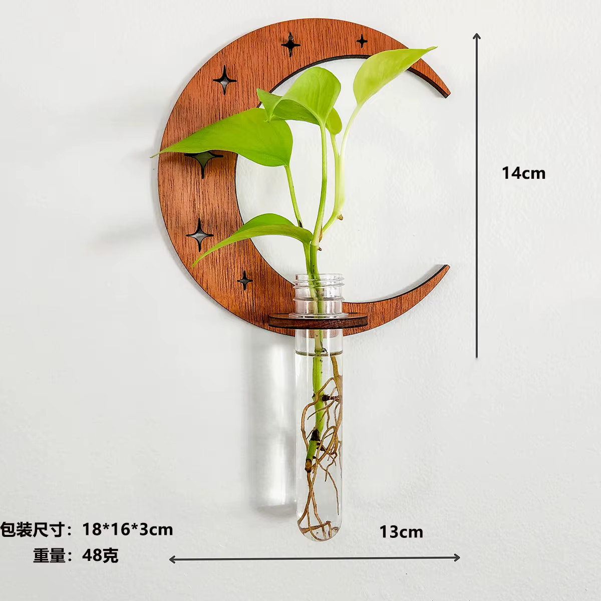 Terrarium vertical avec verre pour plante, station de propagation, présentoir pour jardin, décoratio
