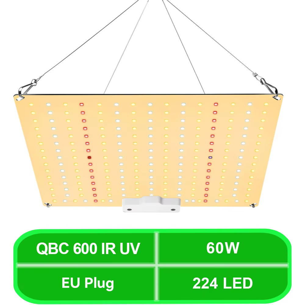 Leclstar Quantum LED élèvent la lumière phytolampe végétale et floraison, prise ue, pour plante lamp