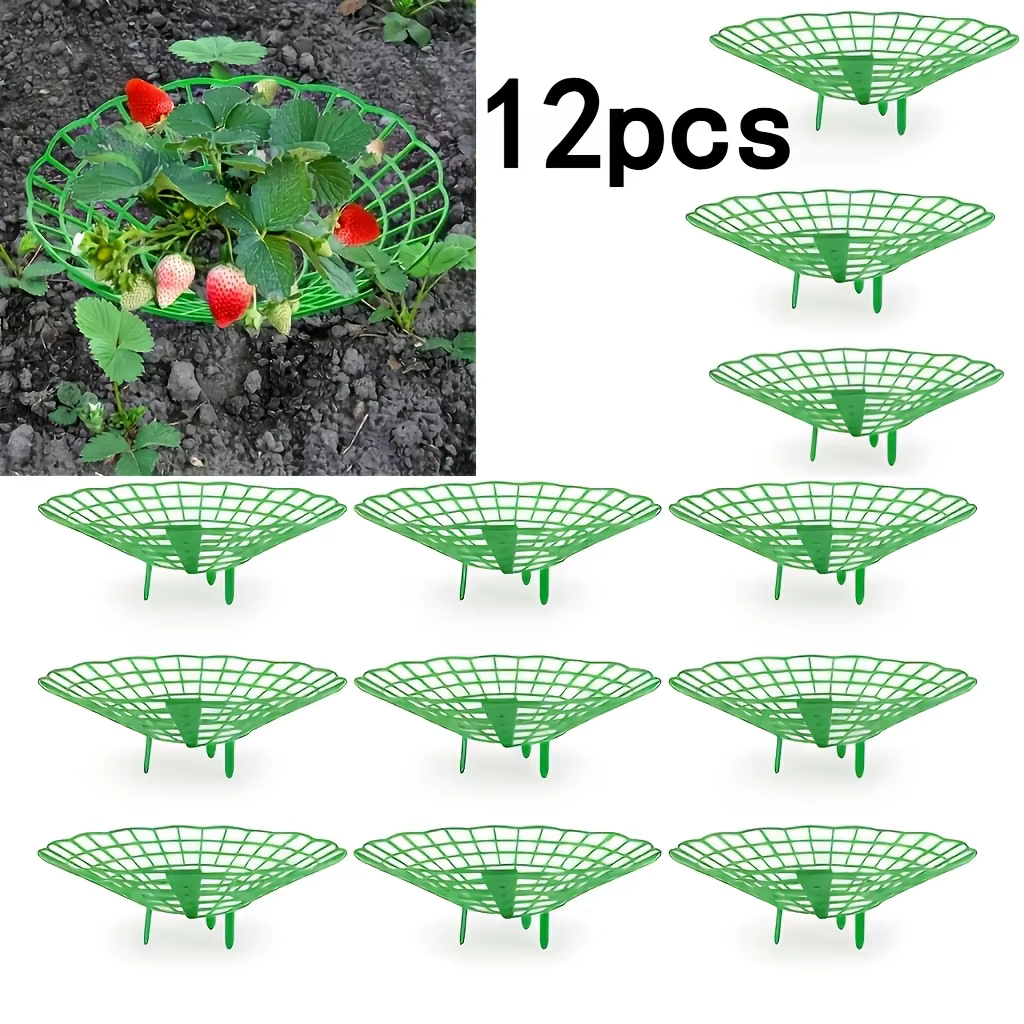 Lot de 12 supports de plantation pour fraises vertes, avec 3 pieds robustes, support de pot de fleur