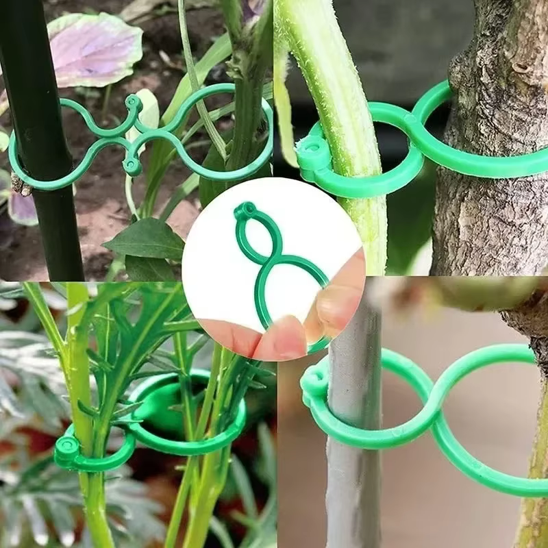 Clips de cerclage de vigne de jardin en plastique, 300/50 pièces, attache de plante réutilisable, an