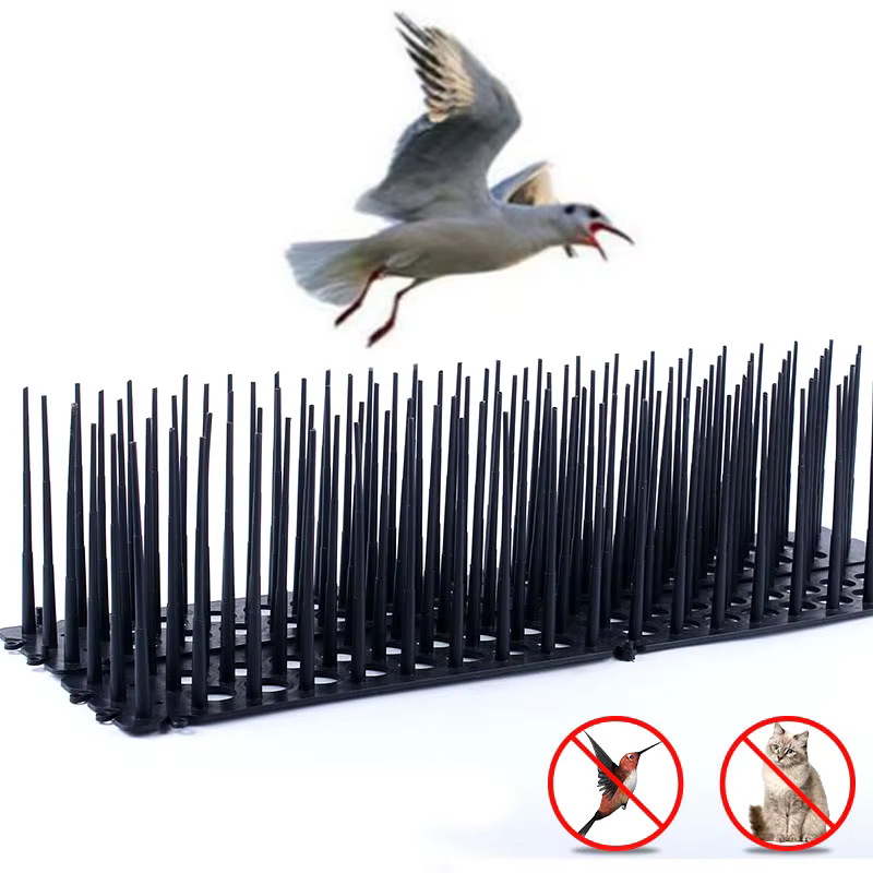 Pointes d'oiseaux clôture chat défenseur clôture en plastique pointes murales pour garder les oiseau